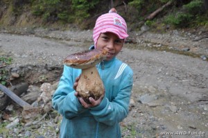 Stolzer Pilzsammler. Zurecht!