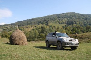 Typische Heukegel zu dieser Jahreszeit