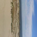 Auf der Kurischen Nährung (21. Juli)