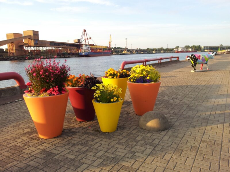 20130727_205649.jpg image