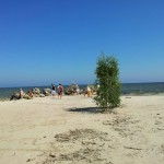 Richtung Kolka zur Bucht von Riga (28. Juli)
