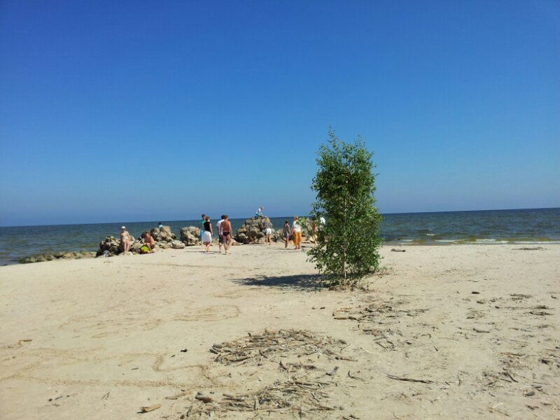 20130728_134909.jpg image