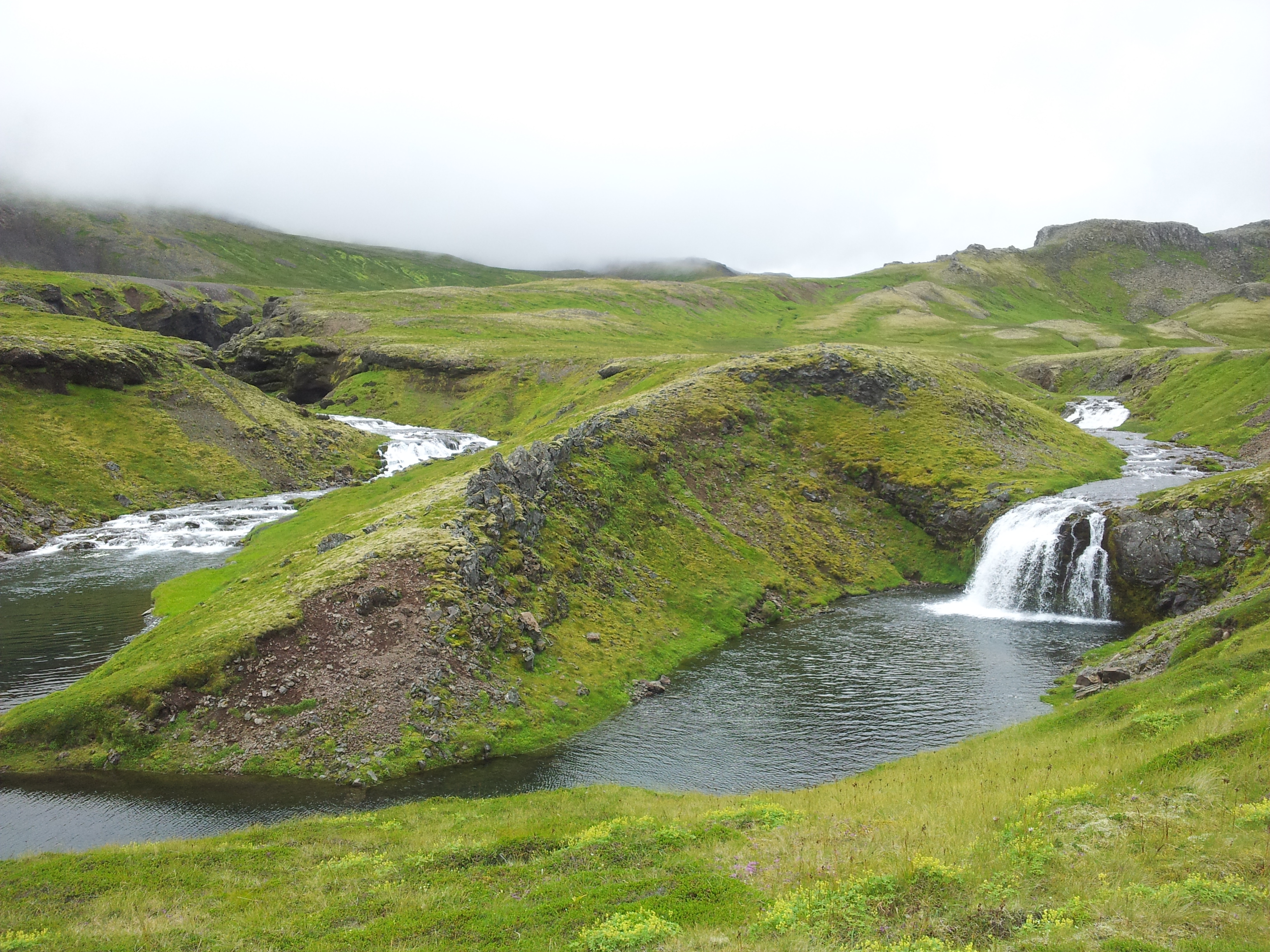 20140715_131248 image