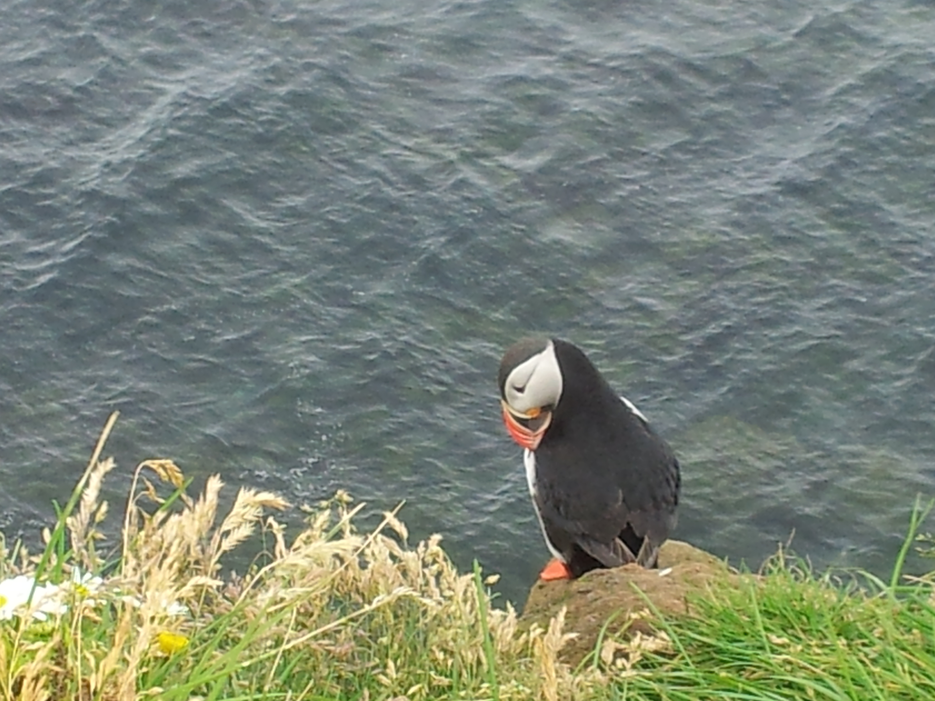 20140717_123514 image