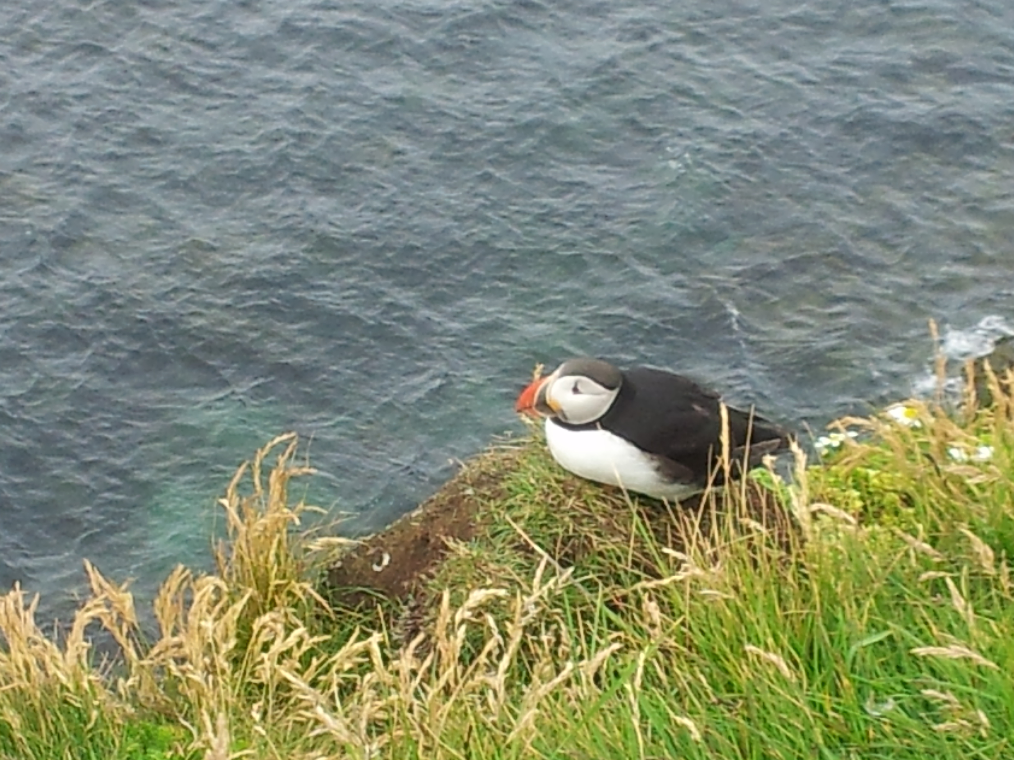 20140717_123535 image