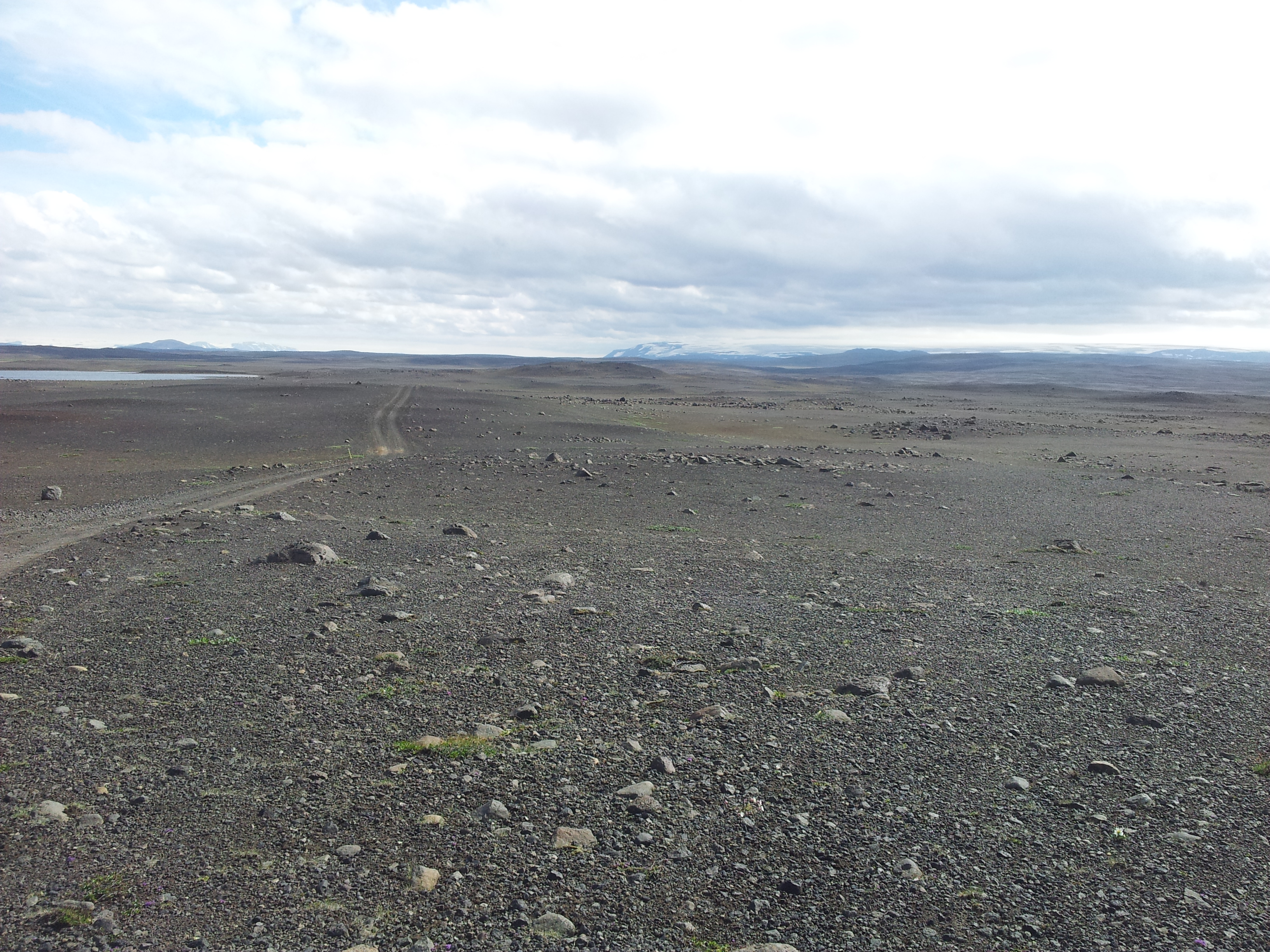 20140720_145914 image