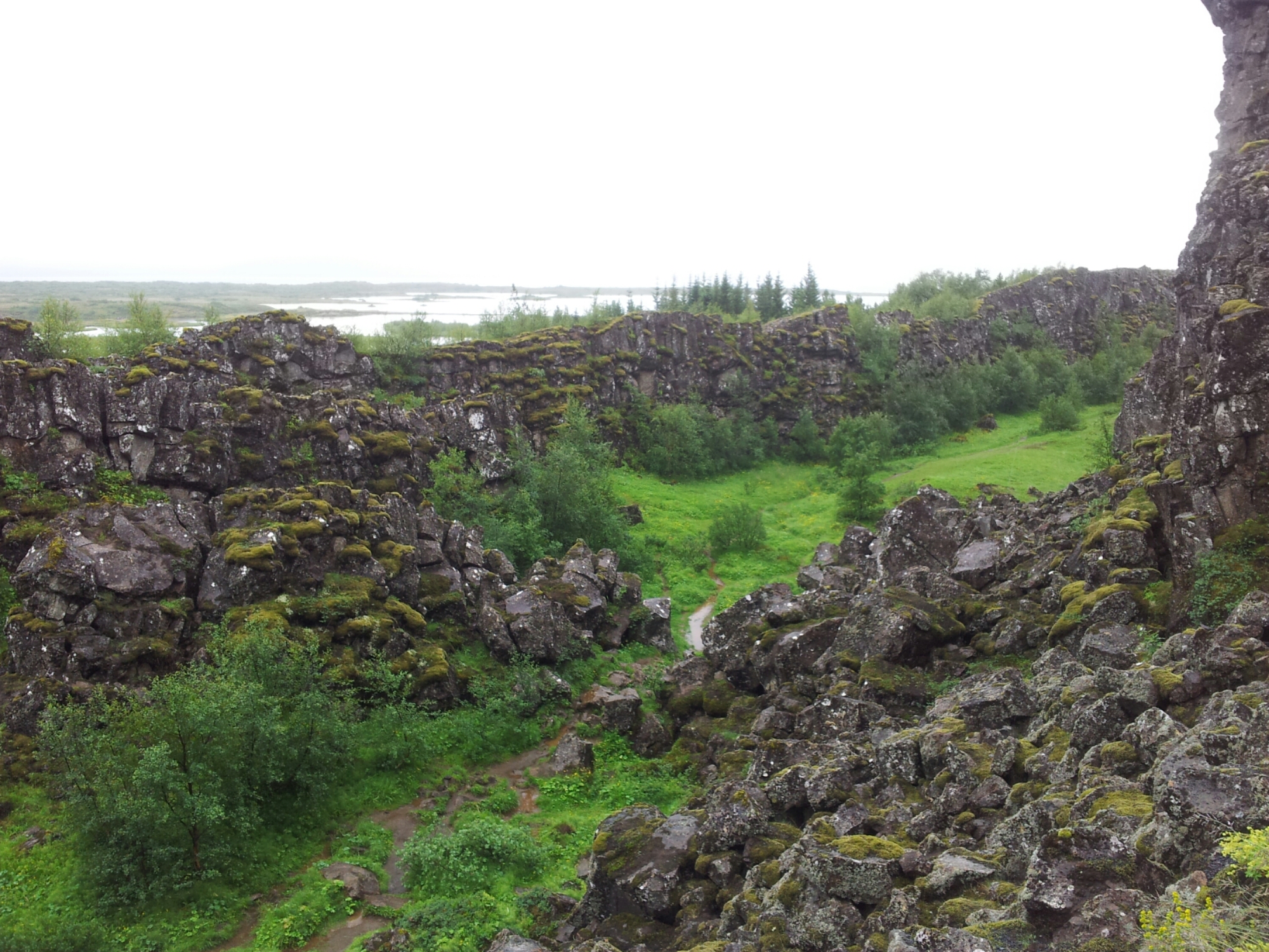 20140711_131549.jpg image