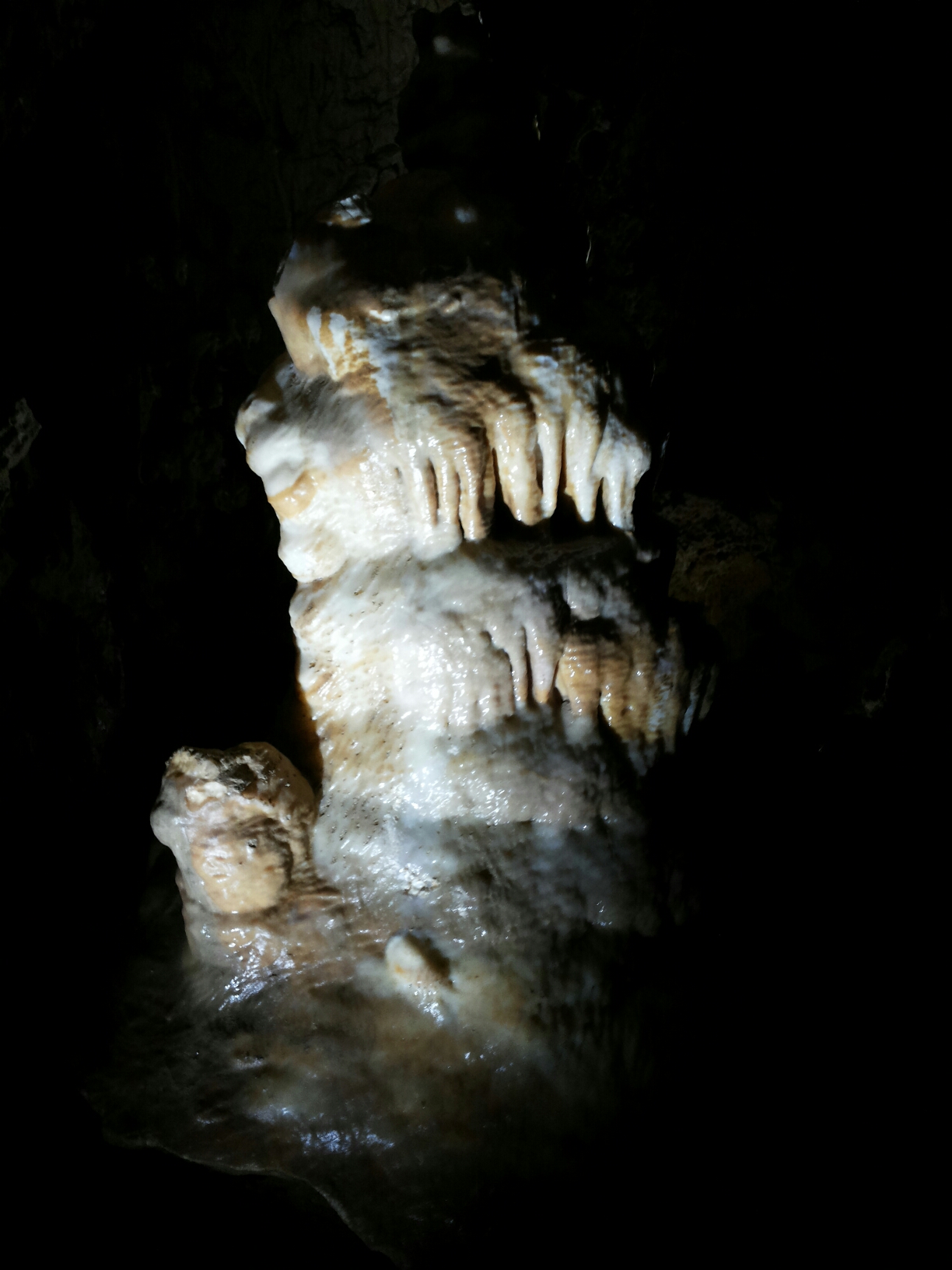 20140720_114912.jpg image