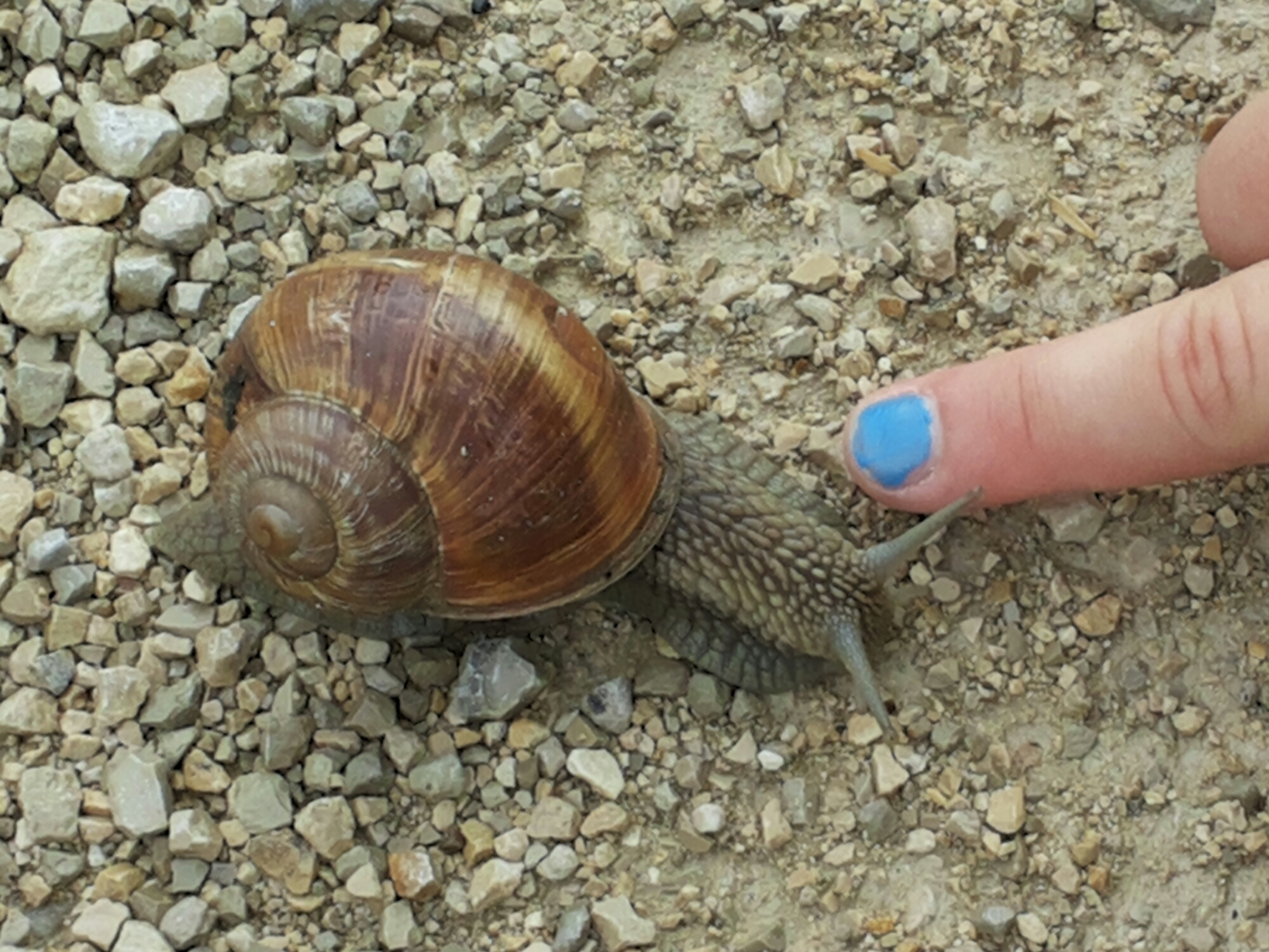 20140722_111716.jpg image