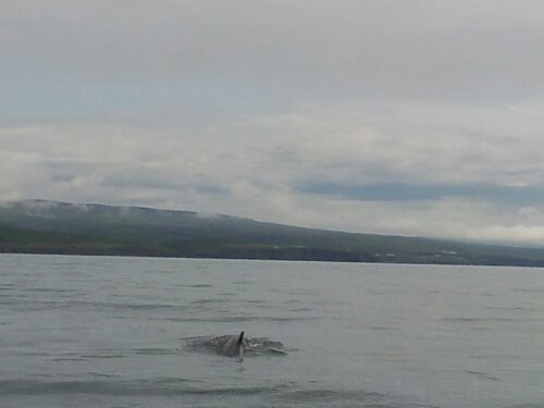 20140722_145120.jpg image