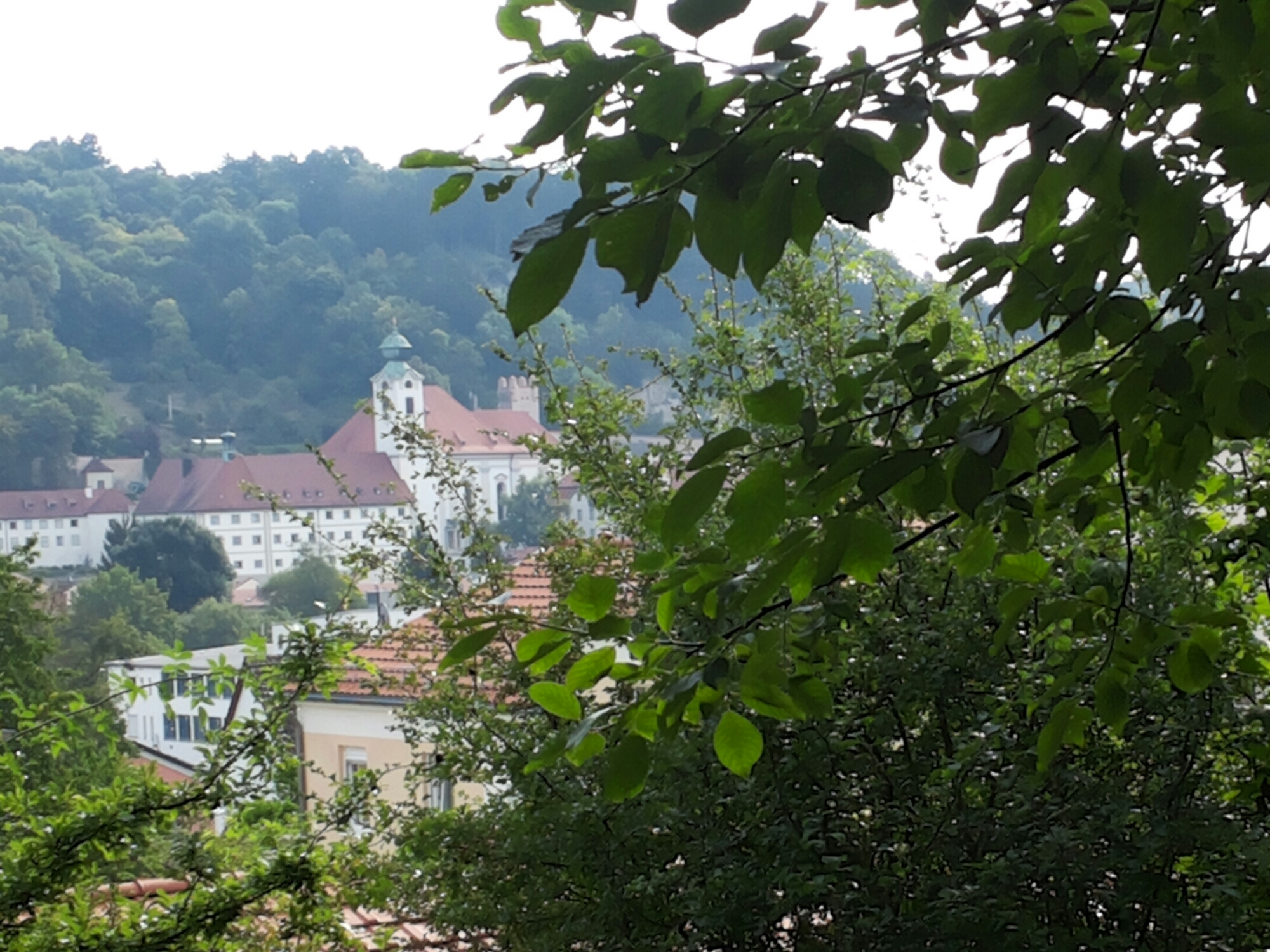 20140726_091559.jpg image