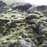 Ins Hochland über die F206 zur Laki Vulkanspalte (27. Juli)