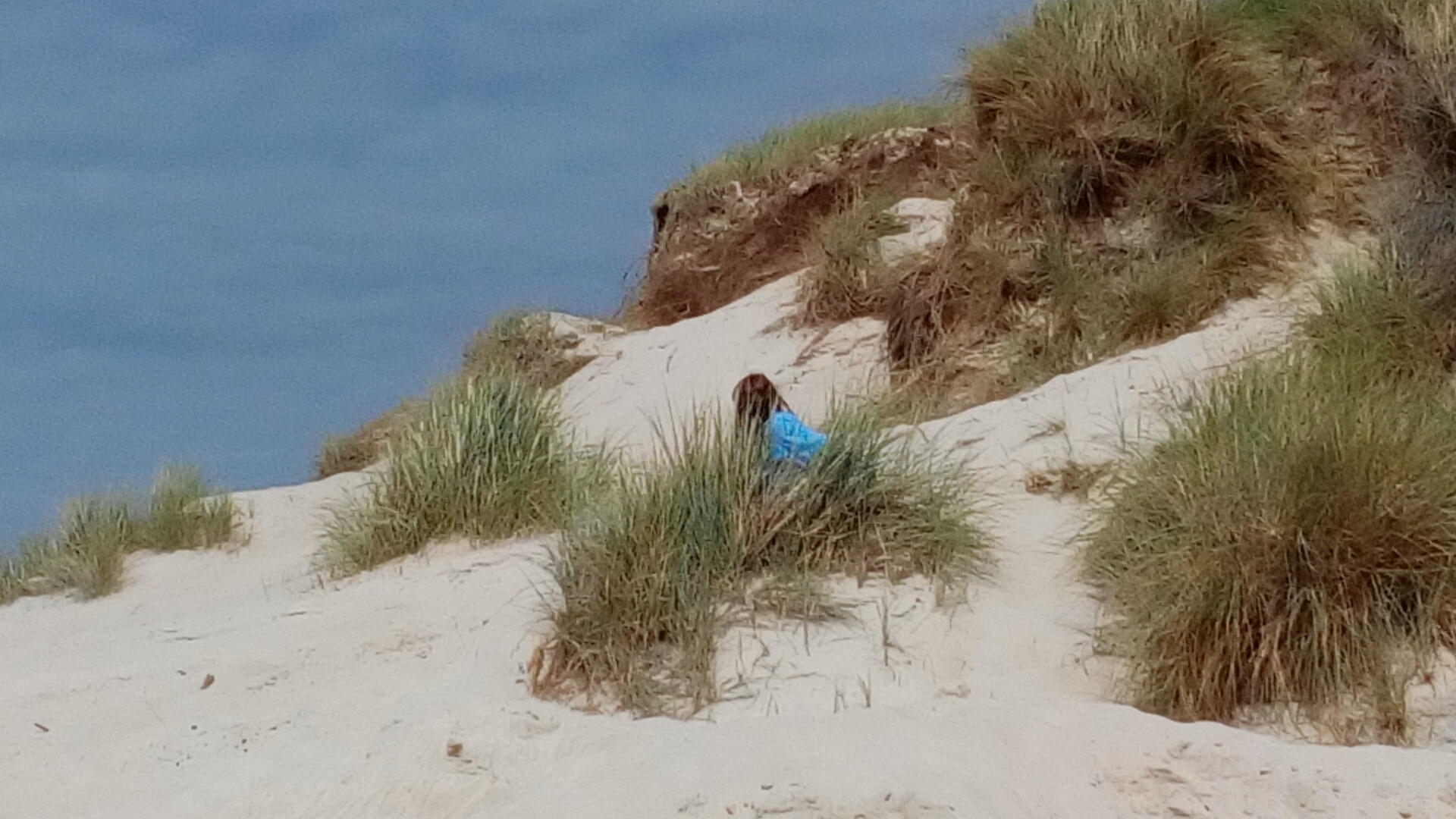 wpid-img_20150628_152646.jpg image