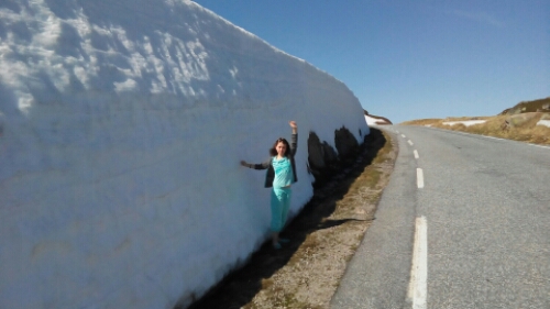 IMG_20150702_100849.jpg image