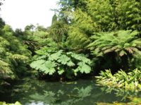 Lost Gardens of Heligan (17. August)