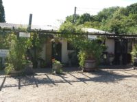 Isle of Wight (10. August)