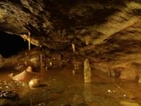 Über Cheddar nach Bath (21. August)