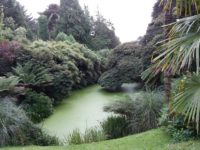 Lost Gardens of Heligan (17. August)