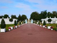 St. Petersburg im Umland (11. August) St. Petersburg im Umland (11. August)