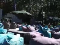 Mit dem Fahrrad nach Palanga (15. August)