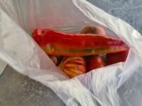 Über Maribor in den Süden nach Kroatien (3. September) Über Maribor in den Süden nach Kroatien (3. September)