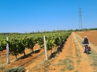 Mit dem Rad nach Pula (6. September) Mit dem Rad nach Pula (6. September)