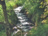 Plitvice Nationalpark (13. September) Plitvice Nationalpark (13. September)