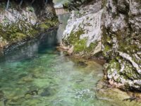 Wanderung durch die Vintgar Klamm (30. August) Wanderung durch die Vintgar Klamm (30. August)