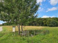 Mit dem Rad rund um Moravske Toplice (02. September) Mit dem Rad rund um Moravske Toplice (02. September)